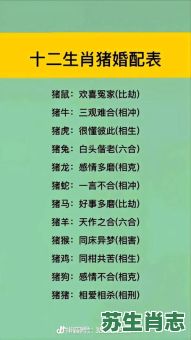 女朋友是什么生肖？一男一女代表什么动物