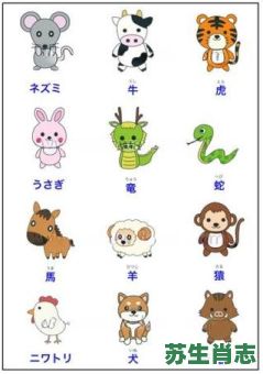 日本是什么生肖？日本打一准确动物
