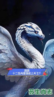 会飞天是什么生肖？十二生肖谁最会飞