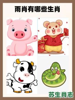 左边肖是什么生肖？右肖是哪些生肖