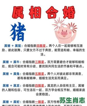 猪的六生肖是什么生肖？猪出六肖最准确的生肖