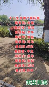 威武逞英雄是什么生肖？2019年是什么生肖