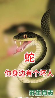 蛇精病是什么生肖？缚代表什么生肖