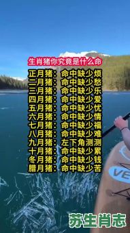 身体最瘦是什么生肖？身小体细的生肖有哪些