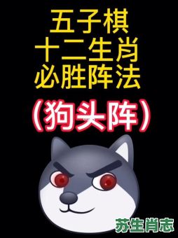 棋中高手是什么生肖？棋是代表哪个生肖