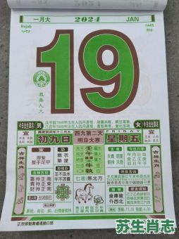 11月是什么生肖日？2020年1月10日老黄历