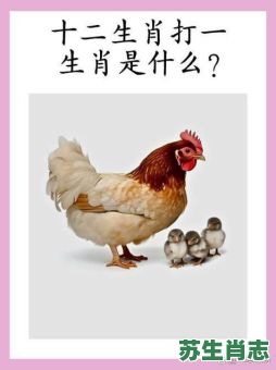 十二生肖道人是什么？道人指一生肖