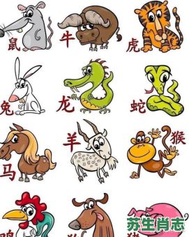 马头蛇面是什么生肖？马头蛇尾打一生肖
