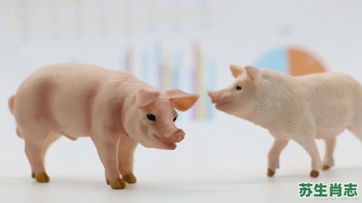 猪羊成群是什么生肖？羊猪成群我来发打一肖