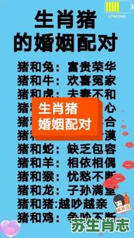 属猪相冲的生肖是什么？猪冲什么生肖正确答案