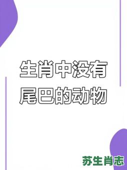 尾巴短的生肖是什么？尾巴短短正确答案动物