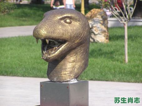 山林野战是什么生肖？满山塞野打一准确生肖