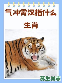 起模范的是什么生肖?英雄的动物指什么生肖 起模范的是什么生肖?英雄的动物指什么生肖