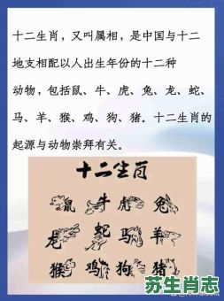 体型长的是什么生肖？身体长的动物打一生肖