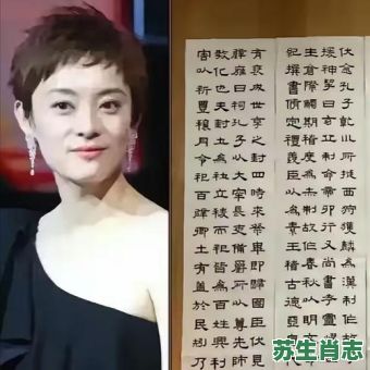 琴其书画是什么生肖？琴其书画打一生肖