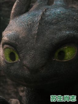 驯龙高手是什么生肖?十二生肖大师是谁 驯龙高手是什么生肖?十二生肖大师是谁