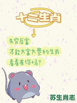 晚来得子是什么生肖？晚来得子最正确生肖答案