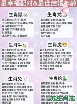96生肖是什么？96年男鼠配什么属相最好