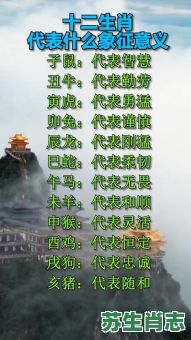 卜数只偶是什么生肖？卜数只偶的意思