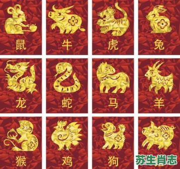 翠花拂天是什么生肖？翠竹黄花代表什么生肖