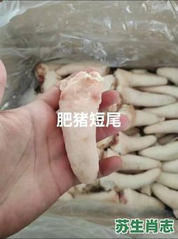 肥头猪尾是什么生肖？猪头鼠尾是什么动物