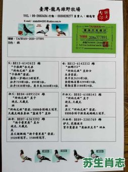 所向无敌是什么生肖？所向无敌打一准确生肖