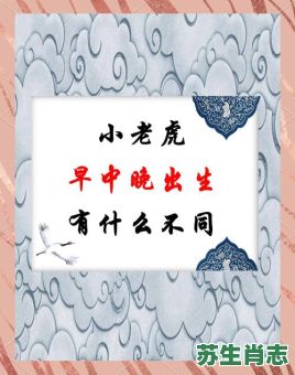 子时出生的是什么生肖？子时的虎属于什么虎