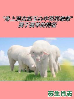 他在洗澡是什么生肖？洗澡正确答案打一生肖