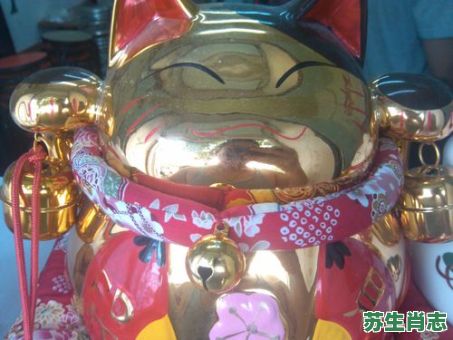 逛街买星星是什么生肖？逛街买奶最正确答案