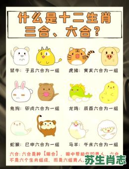 三六九等是什么生肖？三六九等打一准确动物