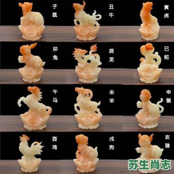 十二生肖红花是什么？红花打一生肖最佳答案