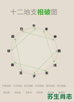 大熟倒灶是什么生肖？飞针走线熟生巧打一生肖