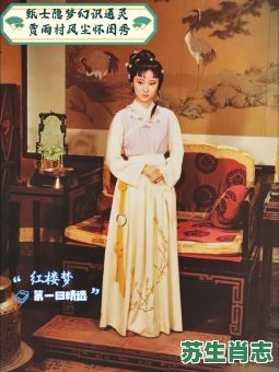 贾雨村是什么生肖？贾雨村林黛玉