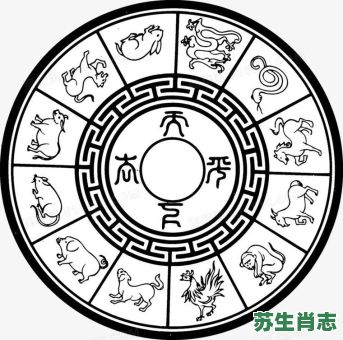 不文又不武是什么生肖？不文不武打一正确答案