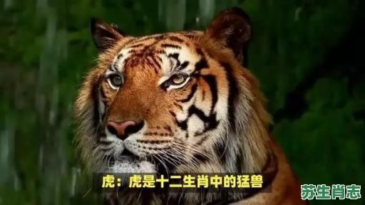 野兽地肖是什么生肖？地动山摇打一生肖