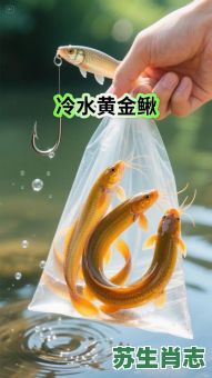 梦见挖泥鳅是什么生肖?泥鳅跳出来暗示了什么 梦见挖泥鳅是什么生肖?泥鳅跳出来暗示了什么