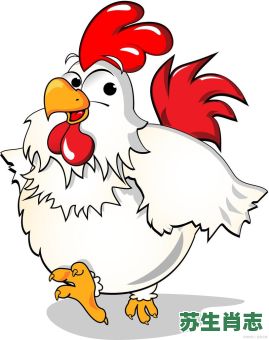 迷芒的生肖是什么？迷失方向是什么生肖