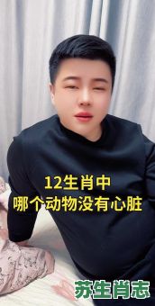 丧心病狂是什么生肖？丧心病狂最佳答案的动物