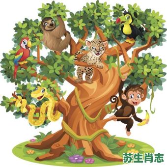 能上树的生肖是什么?上树的生肖有哪些 能上树的生肖是什么?上树的生肖有哪些