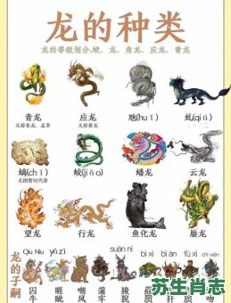 龙的相冲生肖是什么？龙和兔属相冲吗