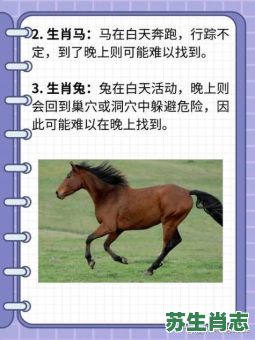 不知耻的生肖是什么？十二生肖谁无耻的动物