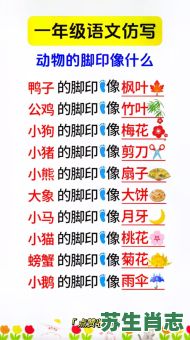 脚印像梅花是什么生肖？12生肖谁的脚印像梅花