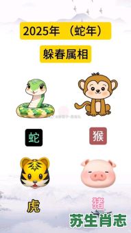 代表春天的生肖是什么？春天代表哪几个生肖