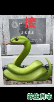 井里的生肖是什么？井中的最佳数字