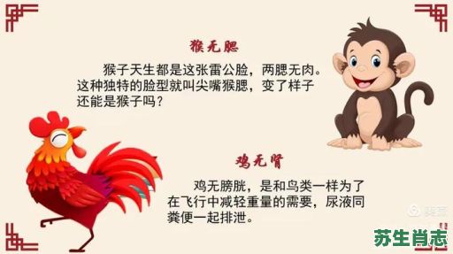 坏人遭雷劈是什么生肖？天有雷公打一最佳生肖