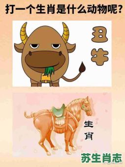 叫声大的生肖是什么？叫声大的动物打准确生肖