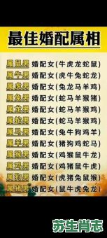 1955年属相是什么生肖？1955年属羊还是属马