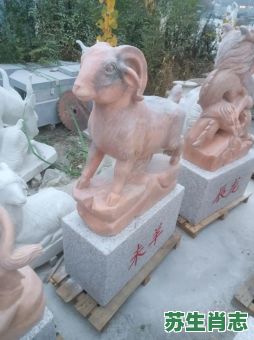 夕阳红是什么生肖？金黄夕阳红打一动物