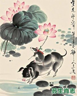 花花肠子是什么生肖？连花是什么生肖?