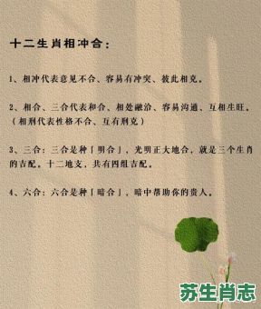 羊冲牛是什么生肖？羊冲牛正确答案一肖